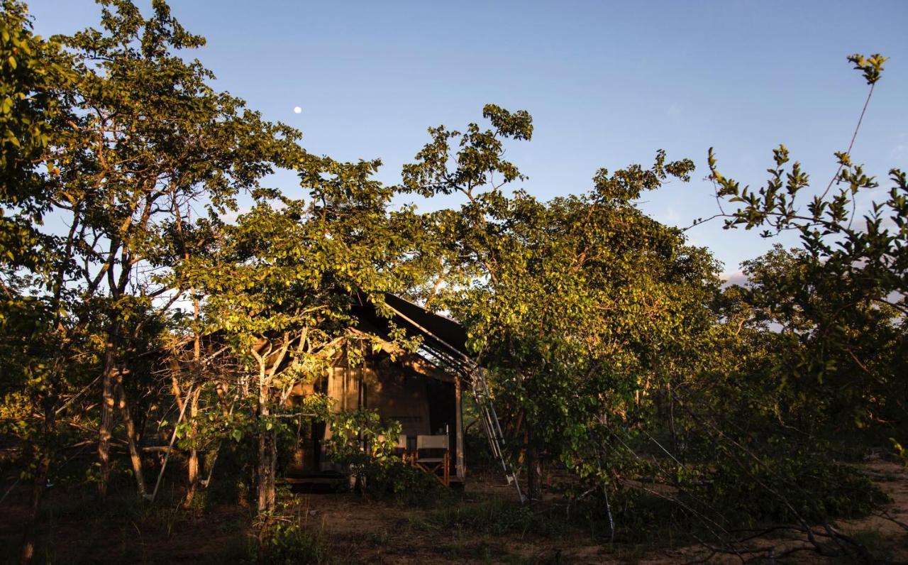Villa Simbavati Trails Camp à Timbavati Game Reserve Extérieur photo