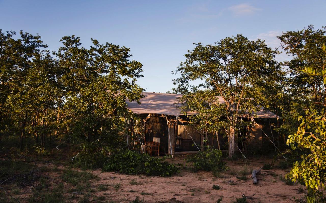 Villa Simbavati Trails Camp à Timbavati Game Reserve Extérieur photo