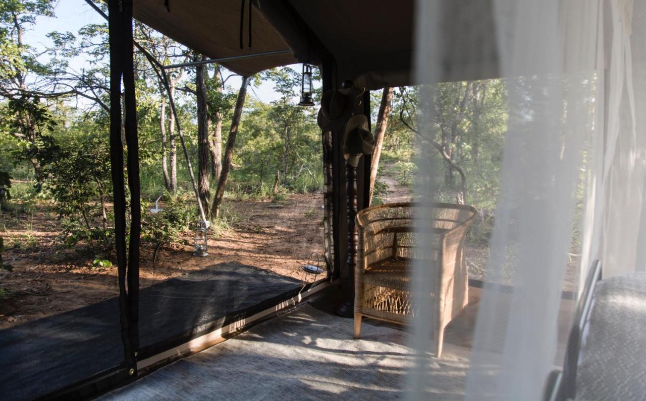 Villa Simbavati Trails Camp à Timbavati Game Reserve Extérieur photo
