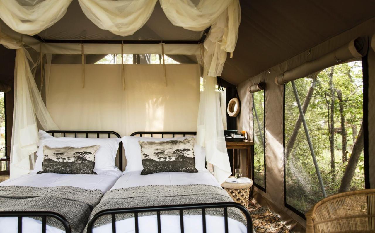 Villa Simbavati Trails Camp à Timbavati Game Reserve Extérieur photo