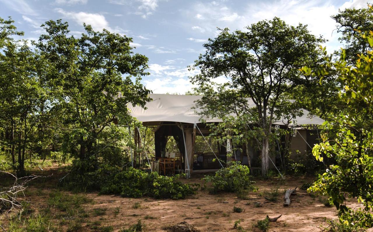 Villa Simbavati Trails Camp à Timbavati Game Reserve Extérieur photo