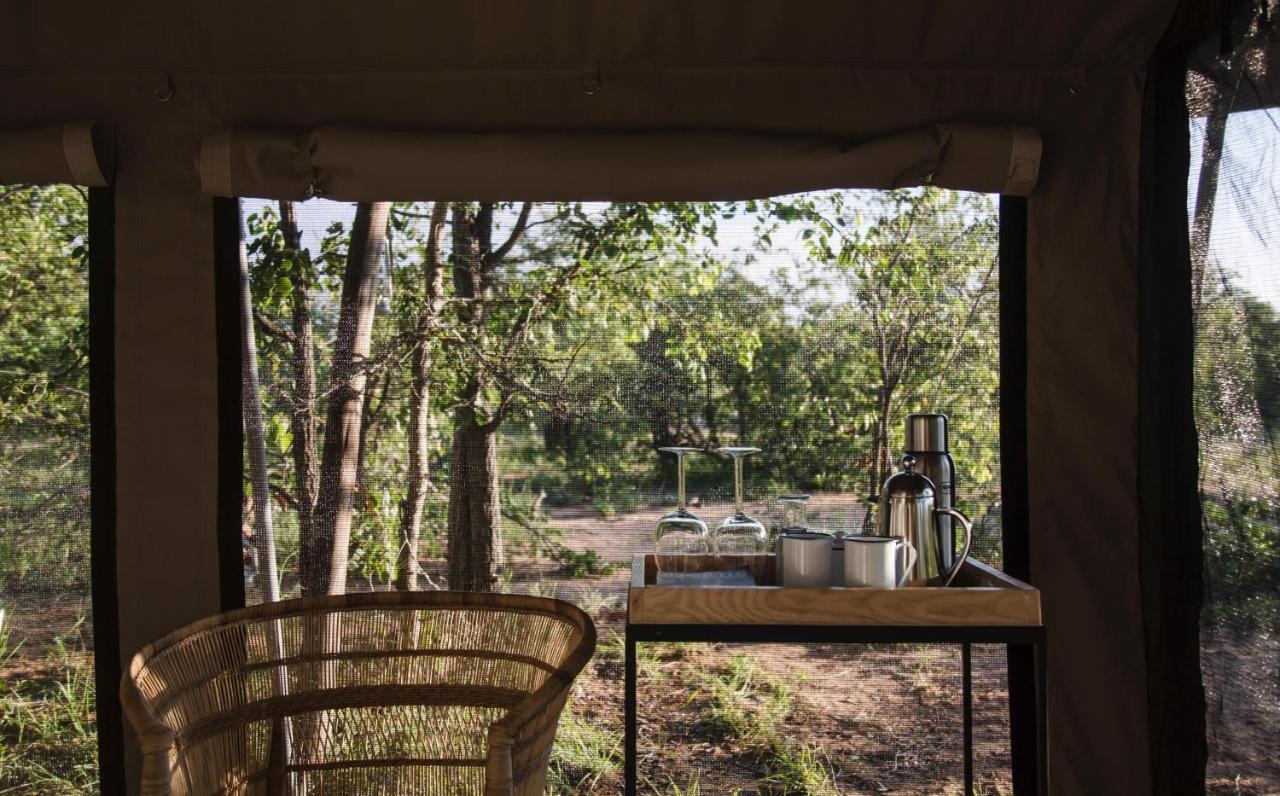 Villa Simbavati Trails Camp à Timbavati Game Reserve Extérieur photo