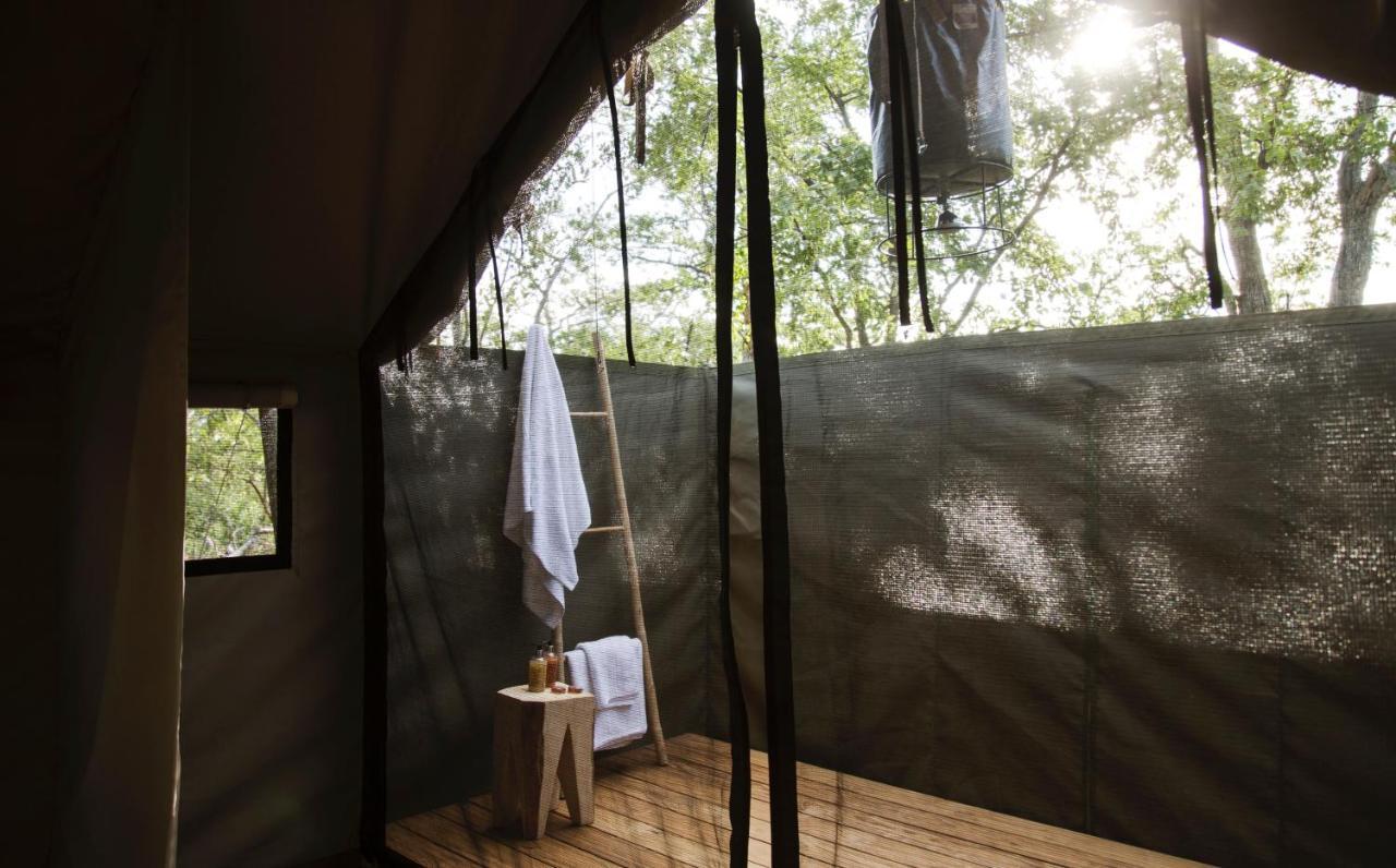 Villa Simbavati Trails Camp à Timbavati Game Reserve Extérieur photo