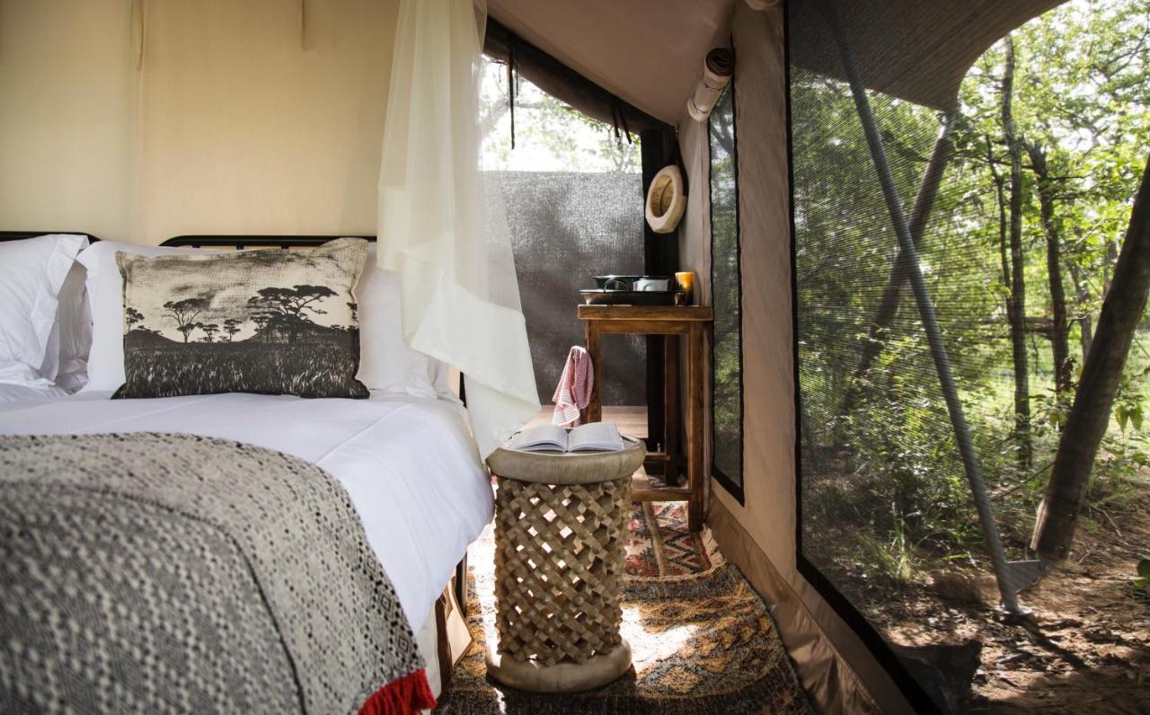 Villa Simbavati Trails Camp à Timbavati Game Reserve Extérieur photo
