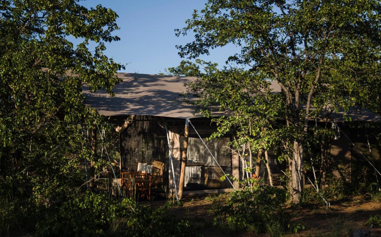Villa Simbavati Trails Camp à Timbavati Game Reserve Extérieur photo