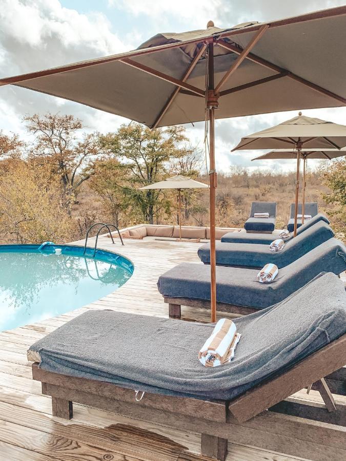 Villa Simbavati Trails Camp à Timbavati Game Reserve Extérieur photo
